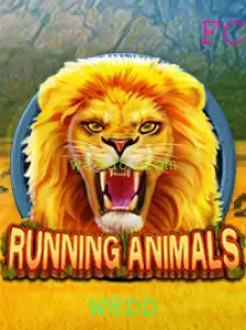 Descubra RunningAnimals: Aventura e Estratégia no Mundo Animal